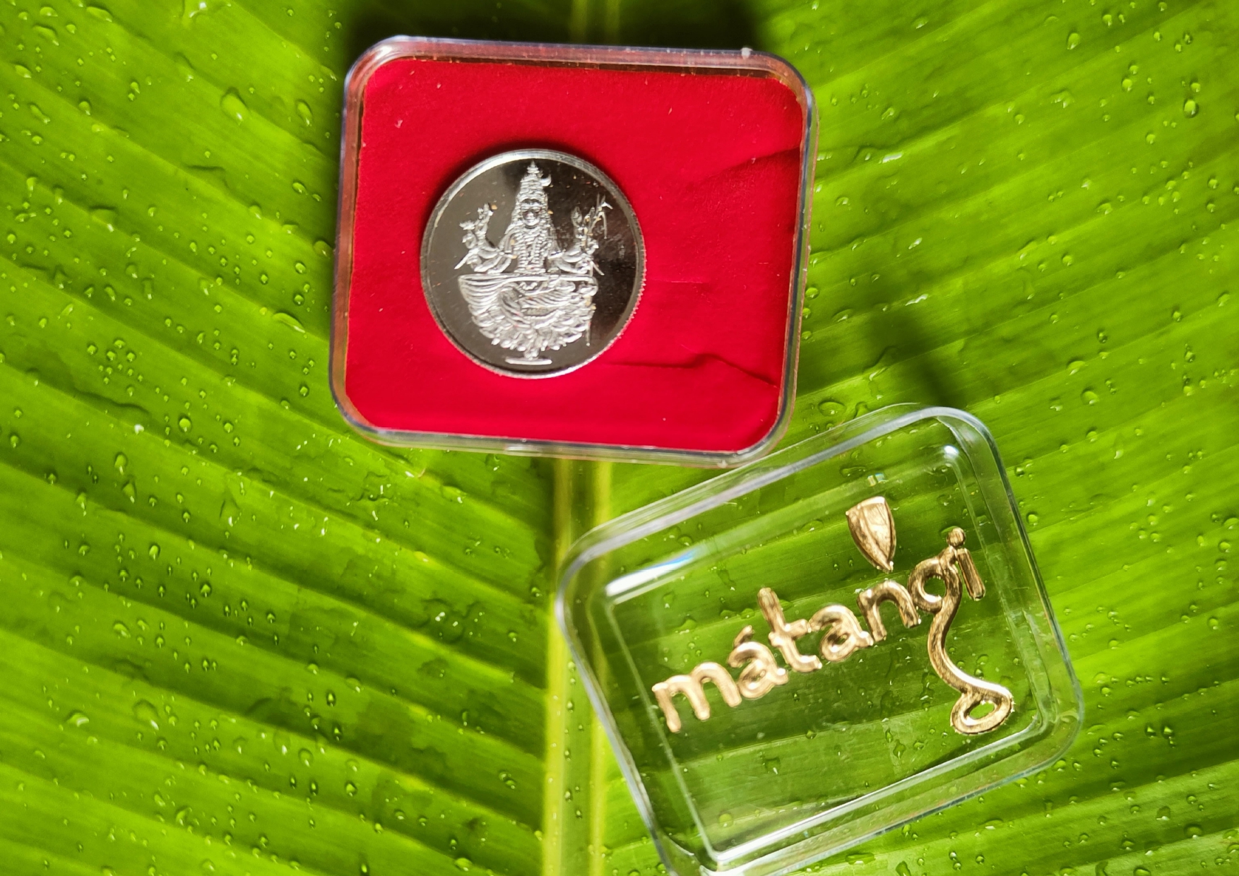 Raja Matangi Coin - Silver